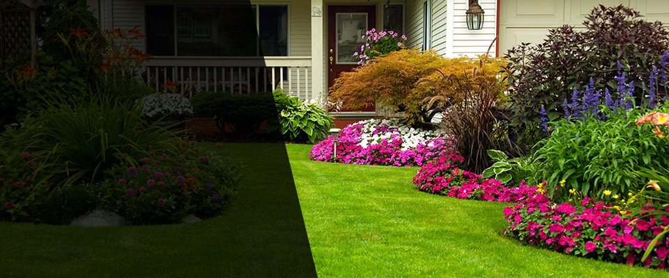 Folsom Landscapers