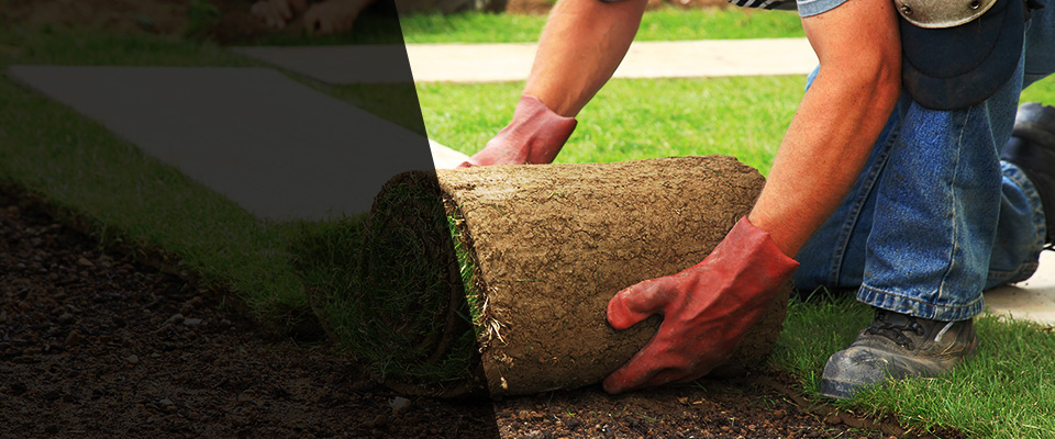 Folsom Landscapers
